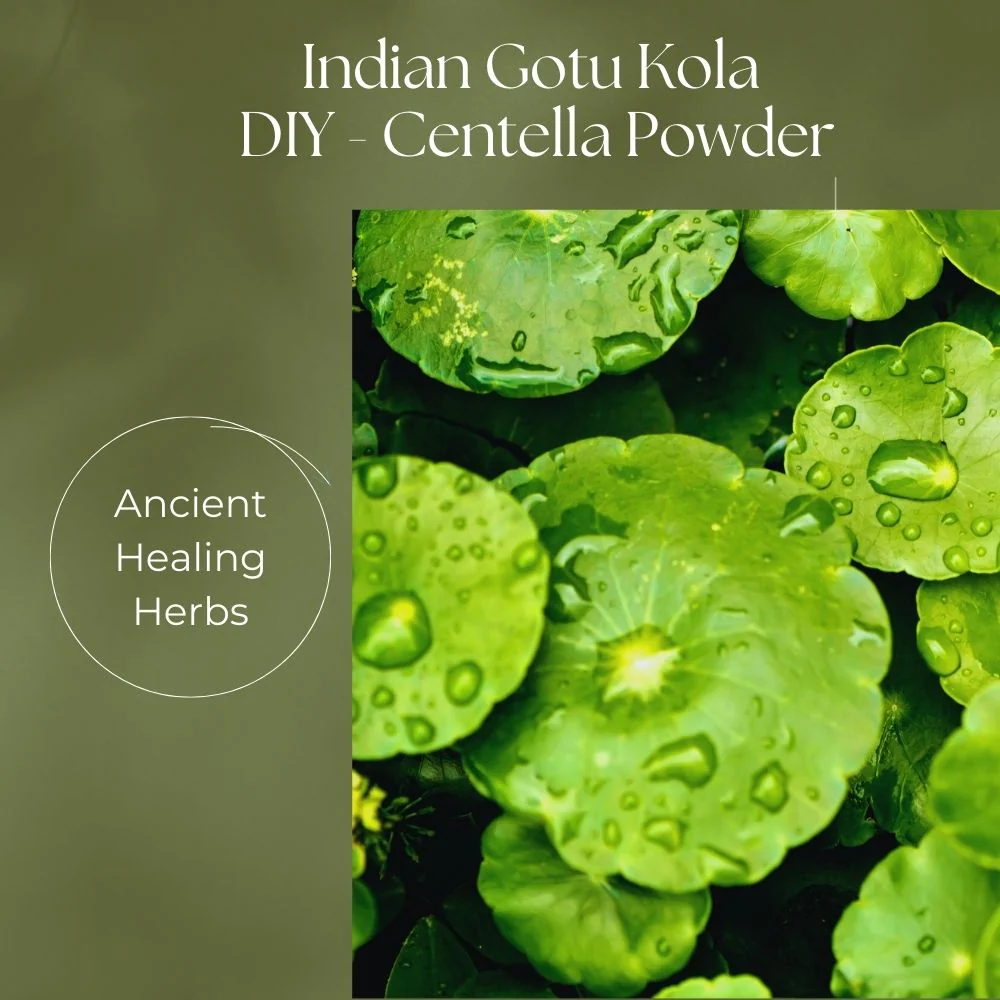 Ayumi Gotu Kola | Centella | Face Wash | Mask | Powder 100g - Image 5