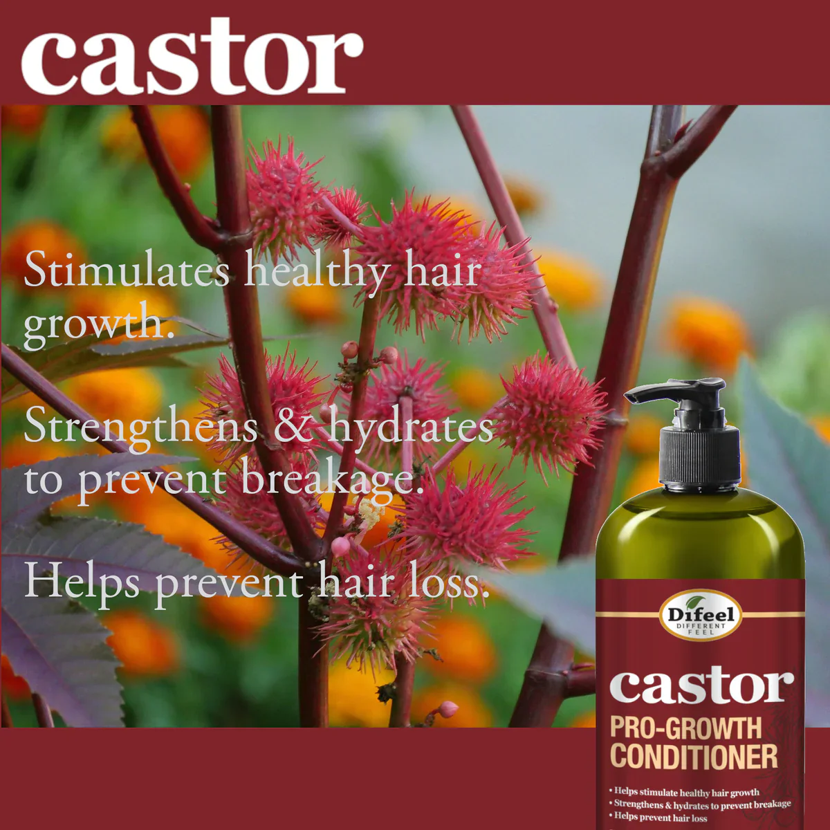 Difeel Castor Pro-Growth Conditioner - Image 7