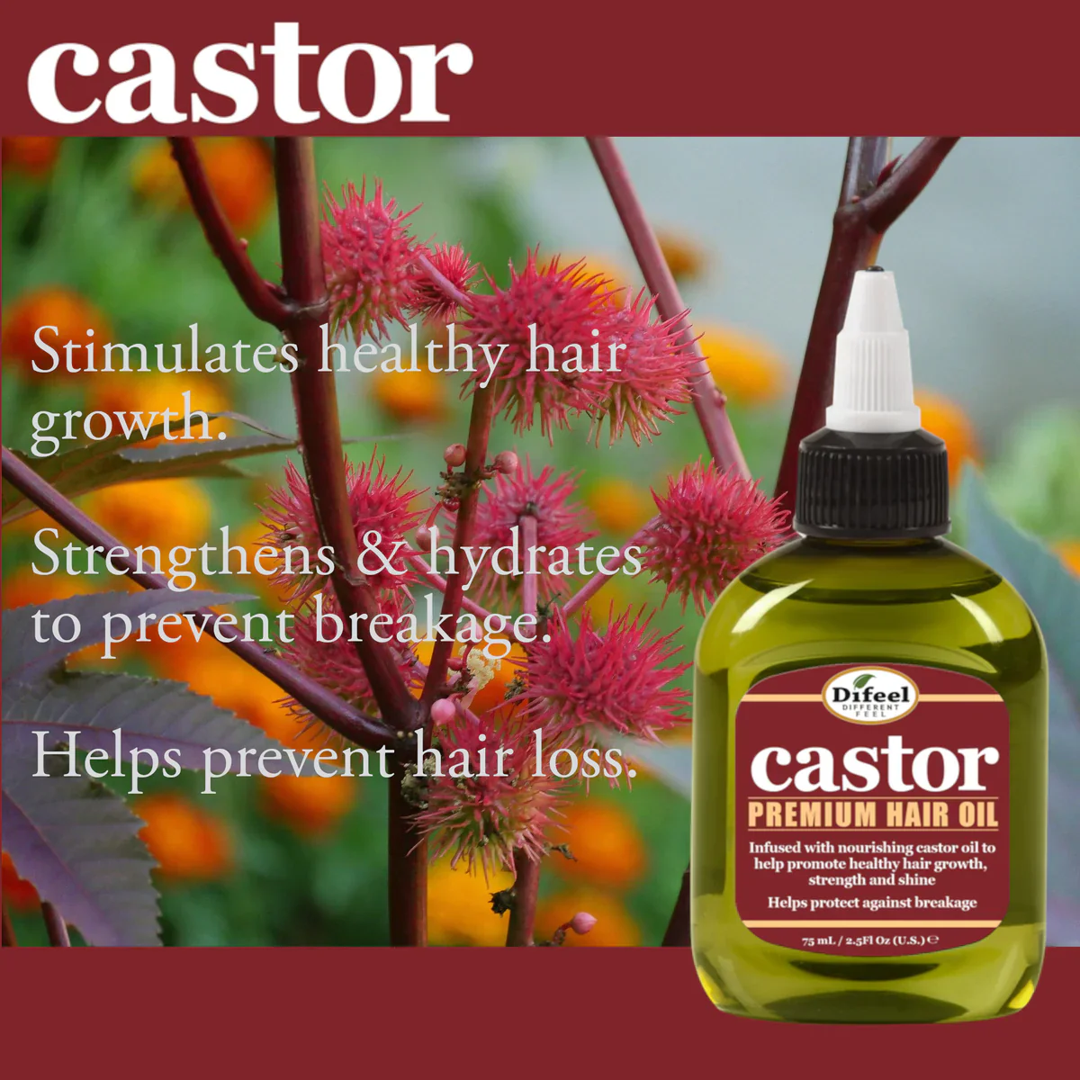 Difeel Castor Pro-Growth Hair Oil 75ml - Image 3