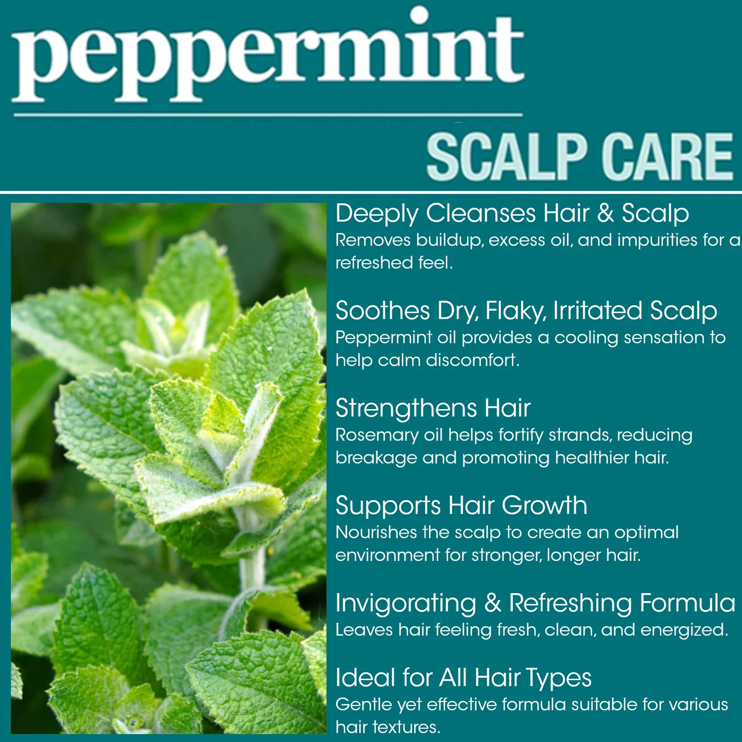 Difeel Peppermint Scalp Care Shampoo - Image 6