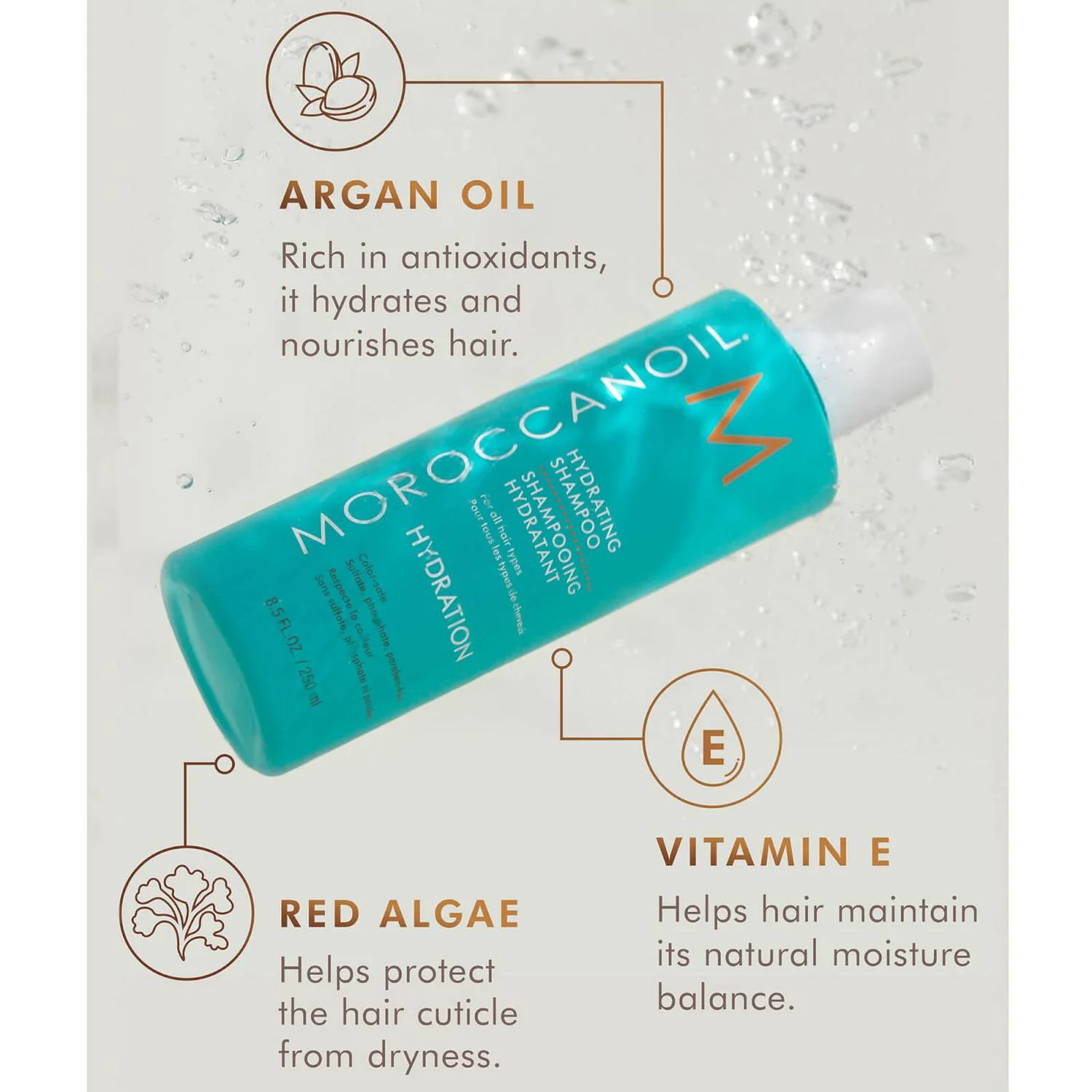 Moroccanoil Hydrating Shampoo 500 ML and Conditioner 500ml - Image 3