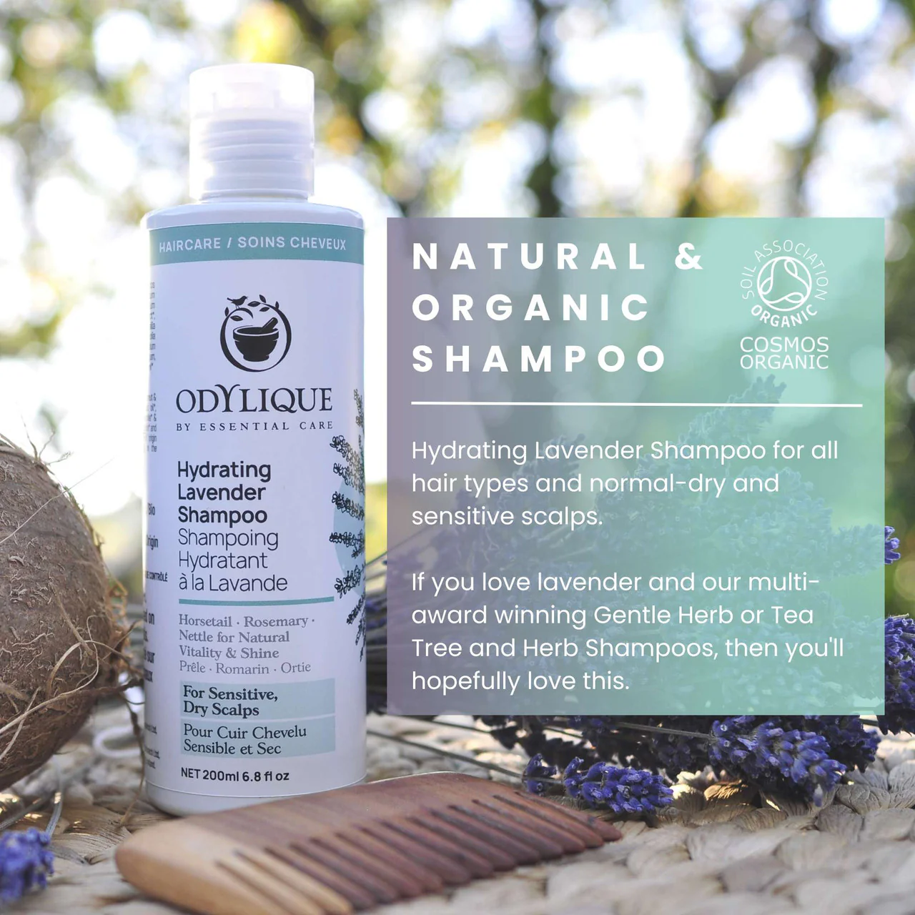 Odylique Hydrating Lavender Shampoo 250 ML - Image 7