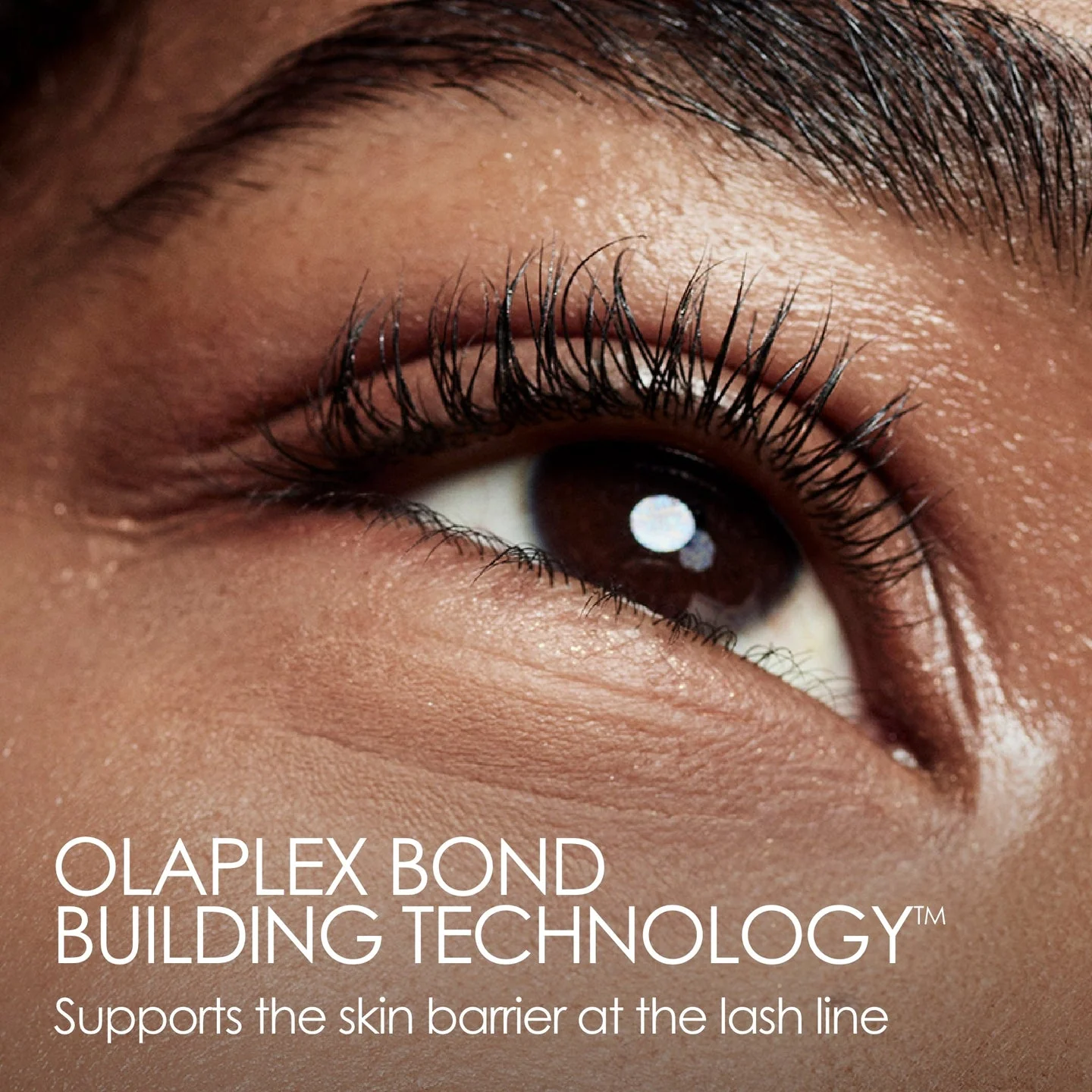 OLAPLAEX  Lashbond  Building Serum 4.5oz - Image 4