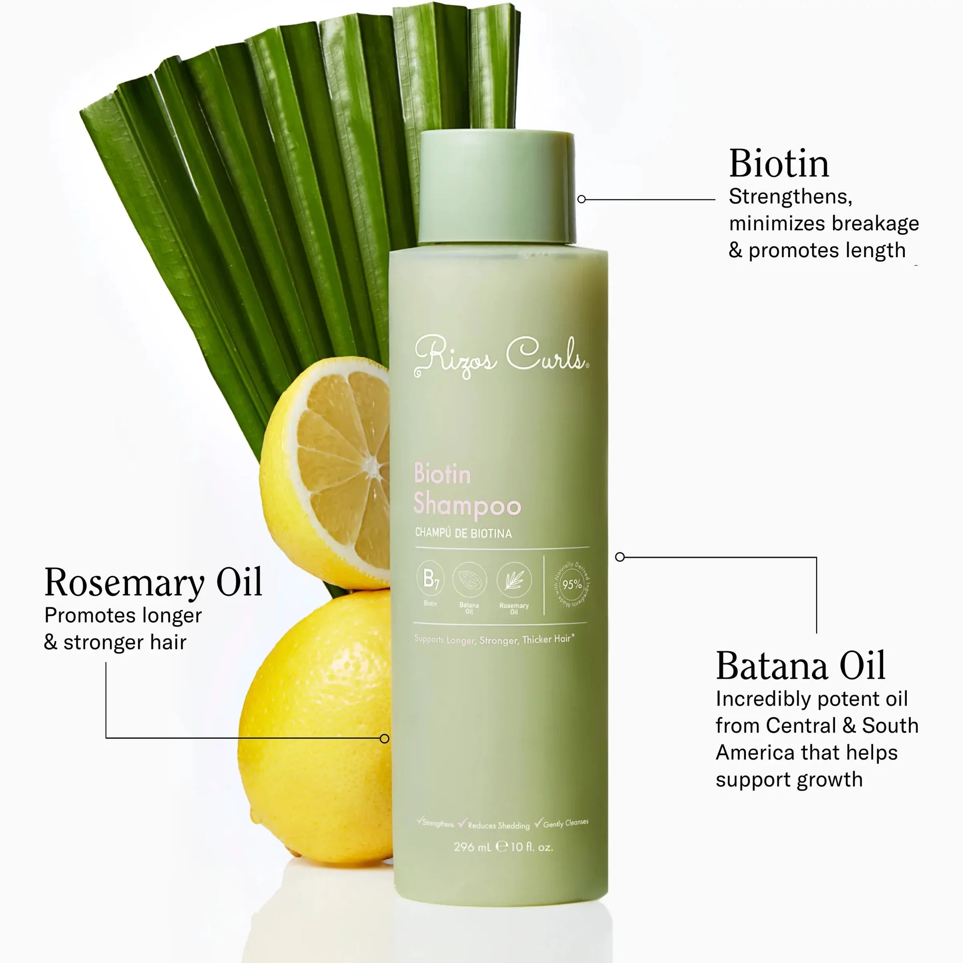 Rizos Curls Biotin Shampoo 296ml - Image 2